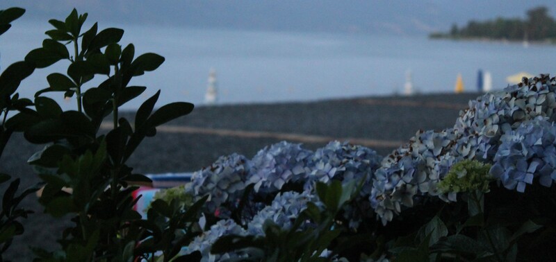 ortencias-cabaña-boldo